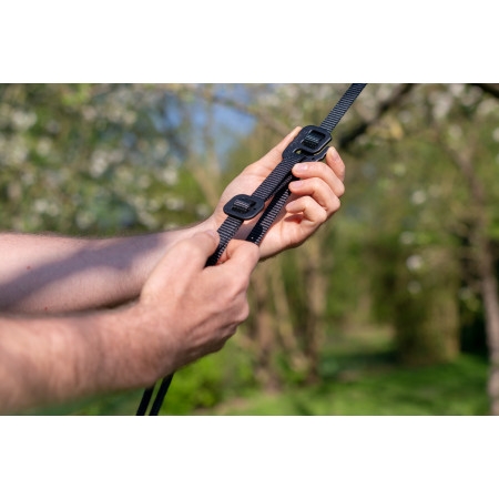 Colibri 3.0 Forest